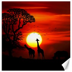 Animals Birds Dawn Giraffe Canvas 16  X 16  by Sudhe