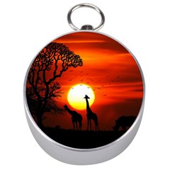 Animals Birds Dawn Giraffe Silver Compasses