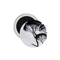 Silhouette Photo Of Trees 1 75  Magnets