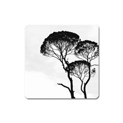 Silhouette Photo Of Trees Square Magnet by Sudhe