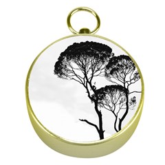 Silhouette Photo Of Trees Gold Compasses