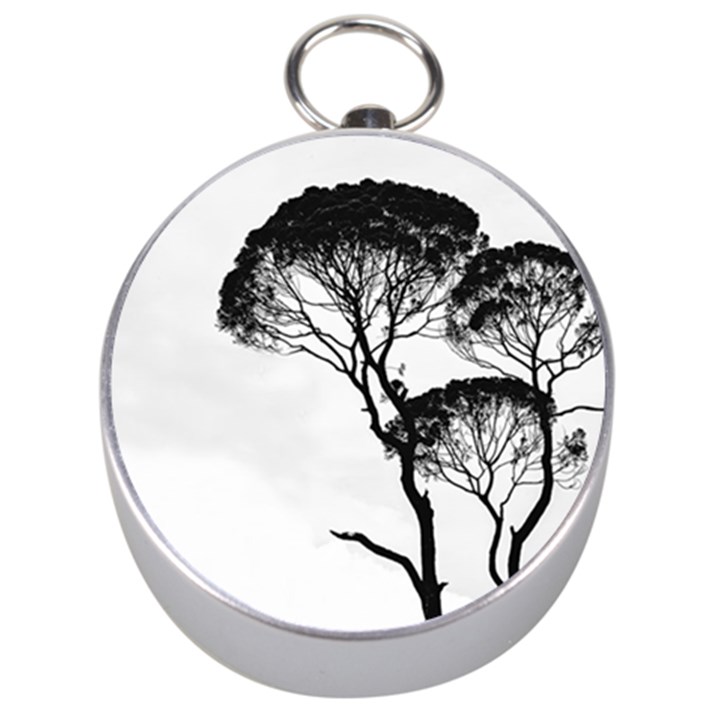 Silhouette Photo Of Trees Silver Compasses