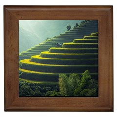 Scenic View Of Rice Paddy Framed Tiles by Sudhe