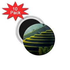 Scenic View Of Rice Paddy 1 75  Magnets (10 Pack)  by Sudhe