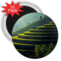 Scenic View Of Rice Paddy 3  Magnets (10 Pack)  by Sudhe