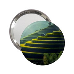 Scenic View Of Rice Paddy 2 25  Handbag Mirrors by Sudhe