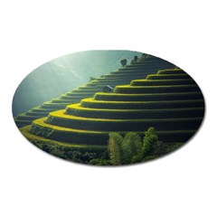 Scenic View Of Rice Paddy Oval Magnet by Sudhe