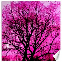 Pink Silhouette Tree Canvas 20  X 20  by Sudhe