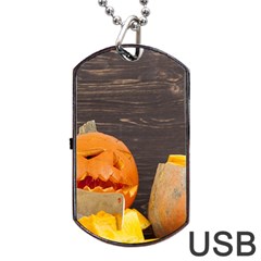 Old Crumpled Pumpkin Dog Tag Usb Flash (one Side) by rsooll