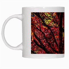 Autumn Colorful Nature Trees White Mugs by Sudhe