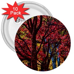 Autumn Colorful Nature Trees 3  Buttons (10 Pack)  by Sudhe