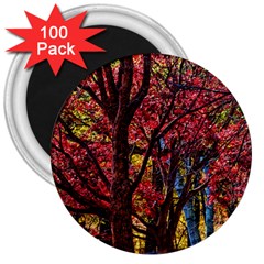 Autumn Colorful Nature Trees 3  Magnets (100 Pack) by Sudhe