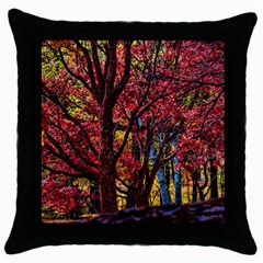 Autumn Colorful Nature Trees Throw Pillow Case (black) by Sudhe