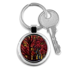 Autumn Colorful Nature Trees Key Chains (round)  by Sudhe