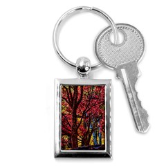 Autumn Colorful Nature Trees Key Chains (rectangle)  by Sudhe