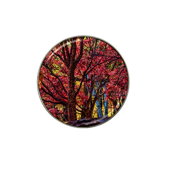 Autumn Colorful Nature Trees Hat Clip Ball Marker (10 pack)