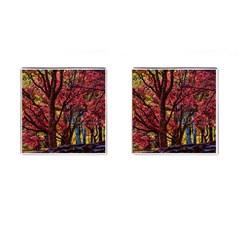 Autumn Colorful Nature Trees Cufflinks (square) by Sudhe