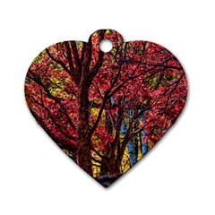 Autumn Colorful Nature Trees Dog Tag Heart (two Sides) by Sudhe