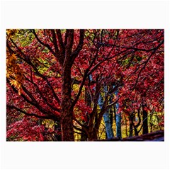 Autumn Colorful Nature Trees Large Glasses Cloth (2-side) by Sudhe