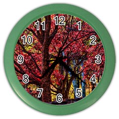 Autumn Colorful Nature Trees Color Wall Clock by Sudhe