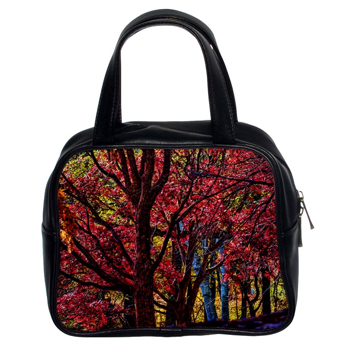 Autumn Colorful Nature Trees Classic Handbag (Two Sides)