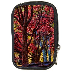 Autumn Colorful Nature Trees Compact Camera Leather Case by Sudhe