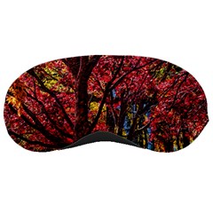 Autumn Colorful Nature Trees Sleeping Masks by Sudhe