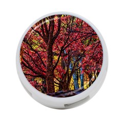 Autumn Colorful Nature Trees 4-port Usb Hub (two Sides) by Sudhe