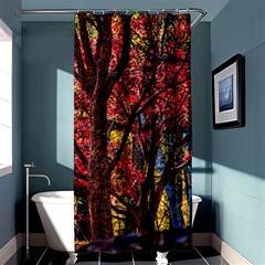 Autumn Colorful Nature Trees Shower Curtain 36  X 72  (stall)  by Sudhe