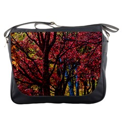 Autumn Colorful Nature Trees Messenger Bag by Sudhe