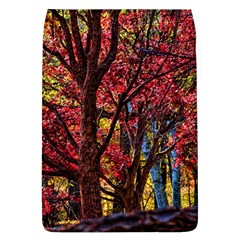 Autumn Colorful Nature Trees Removable Flap Cover (l) by Sudhe