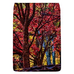 Autumn Colorful Nature Trees Removable Flap Cover (s) by Sudhe