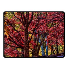 Autumn Colorful Nature Trees Double Sided Fleece Blanket (small)  by Sudhe