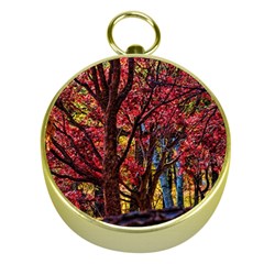 Autumn Colorful Nature Trees Gold Compasses by Sudhe