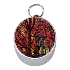 Autumn Colorful Nature Trees Mini Silver Compasses by Sudhe