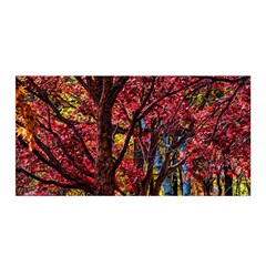 Autumn Colorful Nature Trees Satin Wrap by Sudhe