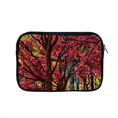 Autumn Colorful Nature Trees Apple Macbook Pro 15  Zipper Case by Sudhe