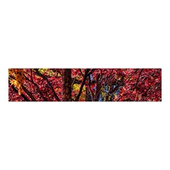 Autumn Colorful Nature Trees Velvet Scrunchie by Sudhe