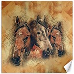 Head Horse Animal Vintage Canvas 20  x 20  19 x19.27  Canvas - 1