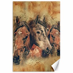 Head Horse Animal Vintage Canvas 24  X 36  by Sudhe