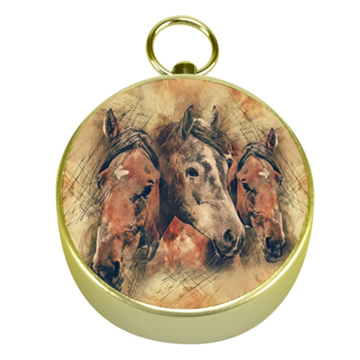 Head Horse Animal Vintage Gold Compasses