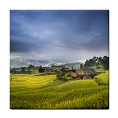 Vietnam Terraces Rice Silk Tile Coasters by Sudhe