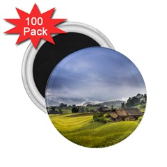 Vietnam Terraces Rice Silk 2 25  Magnets (100 Pack)  by Sudhe