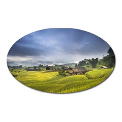 Vietnam Terraces Rice Silk Oval Magnet by Sudhe