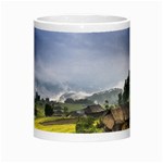 Vietnam Terraces Rice Silk Morph Mugs Center