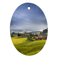 Vietnam Terraces Rice Silk Oval Ornament (two Sides) by Sudhe