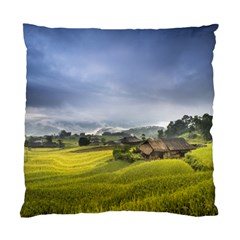 Vietnam Terraces Rice Silk Standard Cushion Case (one Side) by Sudhe