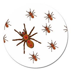 Nature Insect Natural Wildlife Magnet 5  (round) by Sudhe