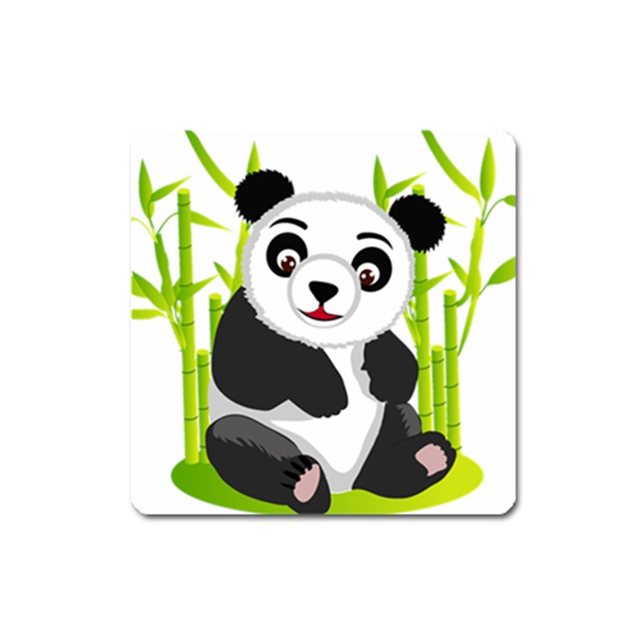 Giant Panda Bear Square Magnet