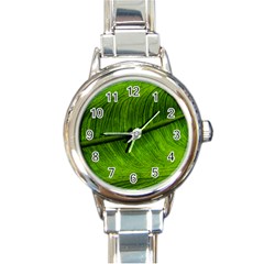 Green Leaf Plant Freshness Color Round Italian Charm Watch by Pakrebo